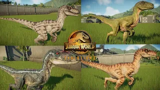 All Velociraptor skins - Jurassic world evolution 2