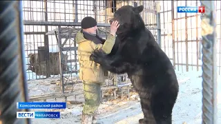 Судьбу медвежат, рождённых на ферме в Комсомольском районе,  решат в суде