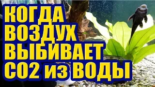 Когда Воздух выбивает СО2 из Воды. Углекислый Газ в Аквариуме