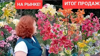 НЕ ОЖИДАЛА ТАКОГО ИТОГА ПРОДАЖИ НА РЫНКЕ СВОИХ РАСТЕНИЙ.