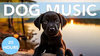 [AD FREE] ASMR Relaxation Music for Anxious Dogs!