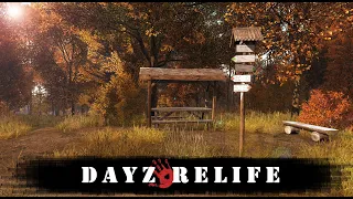 DayZ RELIFE [HardPVE+] 🔴ВЫБОР/КУДА ДАЛЬШЕ?🔴 STREAM *12