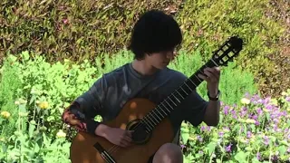 Etude No. 12 (Heitor Villa-Lobos) - Jack Davisson of the Davisson Guitar Duo