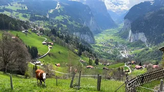 Wengen - Lauterbrunnen Switzerland 4K