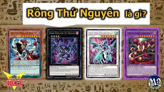 Tất tần tật về Rồng thứ nguyên - The Four Dimension Dragons trong Yugioh Arc-V | M2DA