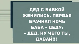 Дед с бабкой женились, первая брачная ночь. Смех! Юмор! Позитив!