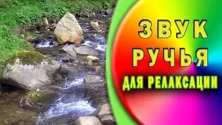 Для любителей релаксации. Звук ручья. Пение птиц в лесу