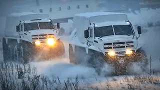 «Русак» выходит в разведку. Таких ещё не было!