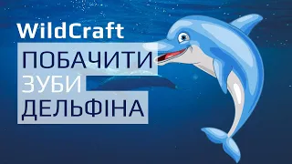 Підводний світ WildCraft: як ховатися у камінні та побачити зуби дельфіна