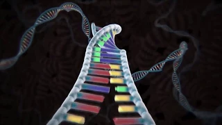 Редактирование генома при помощи CRISPR/Cas9