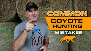 Coyote Hunting Mistakes You May Be Making