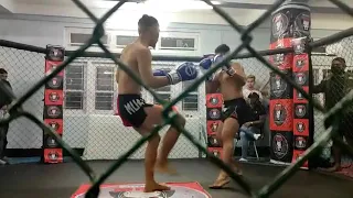 kickboxing knockout fight
