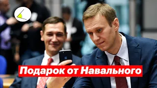 Подарок от Навального. Запрет Умного голосования. Расследование Агентства и Борисы Вишневские