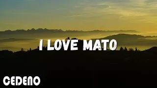 Thiago Castelli | Davi e Fernando - I Love Mato - (lyrics & letra)