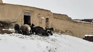 A snowy day in village