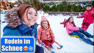 Schnee Spaß mit Baby & Hund ❄️😍 Schlitten fahren & rodeln! Tränen von Mama | Mamiseelen