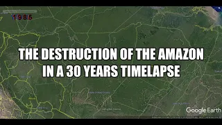 The Destruction of the Amazon Forest in 30 years