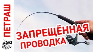 Вот это РЫБАЛКА! Я в шоке!!! Как зимой на мормышку!