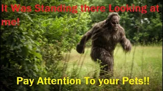 Bigfoot Was Standing there    ( It was to close !)