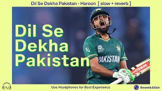 Dil Se Dekha Pakistan | Haroon | slowed & reverbed