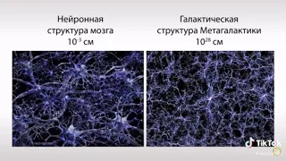 вселенная - это гигантский мозг