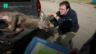 Zombie Deer Disease Explained