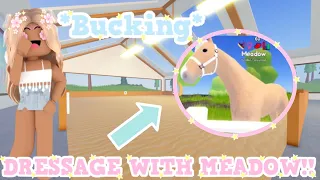 🌼DOING DRESSAGE WITH MEADOW!!🤍 *Bucking!*✨ Roblox Wild Horse Islands RP | Episode 1