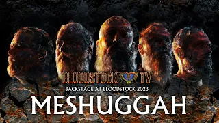 WE WANTED TO MAKE MESHUGGAH'S VERSION OF 'REIGN IN BLOOD