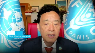 Message from the FAO Director-General on the occasion of World Food Safety Day 2024