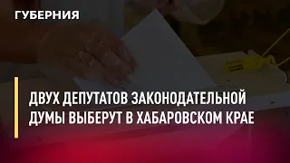Двух депутатов Законодательной Думы выберут в Хабаровском крае. Новости. 27/06/2022