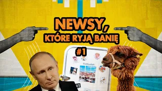 NEWSY, KTÓRE RYJĄ BANIĘ #1: Putin, alpaka i hajs w lodówce