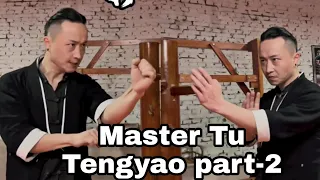 Master Tu Tengyao wing chun techniques analysis part-2