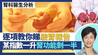 腎功能與護腎貼士｜腎科醫生教你睇驗腎報告 某指數一升腎功能已剩一半？腎臟不只排毒 一半腎衰竭由糖尿病引起？護腎貼士：多飲水不一定好 身體檢查有腎毒性？｜王建芳醫生 腎科醫生葉逸軒醫生｜人類健康研究所