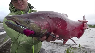 Angeln auf Lachs in Alaska: Ein wildes Wasser