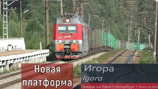 69 км – Игора – Сосново. Опаздывающие поезда Кузнечное – СПБ. Ласточка выбилась из графика