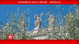 Celebrazione della Domenica delle Palme- Recita dell’Angelus 05 aprile 2020 Papa Francesco