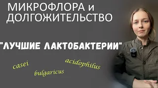 Стойкие противоопухолевые лактобациллы... Мечников о болгарской палочке...  -Хеликобактер-