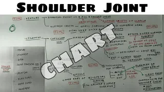 Shoulder Joint - 1 | Feature and Ligament | Upper Limb Anatomy | TCML