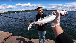 Over 40 Makrell - Slukhekle - Oslo Norge - Fishing - Mackerel bonanza Norway 2020