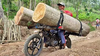 Skilled wood taxi workers carrying large logs