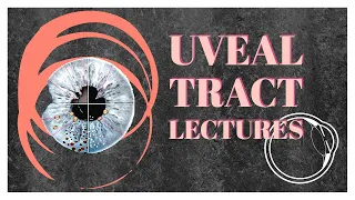 UVEAL TRACT lecture 1 ANATOMY OF choroid, ciliary body and iris in detail