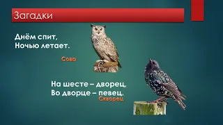 И.Соколов-Микитов "Русский лес"; Русская народная песня "Берёзонька"