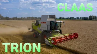 ☆Zakończenie żniw 2021 z nowym kombajnem CLAAS TRION☆ ☆pokazy polowe☆ #CLAAS    #AGRIMASZ