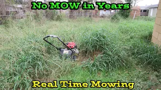 Real Time Neglected OVERGROWN Backyard gets Lawn Makeover for FREE | Yard had No Mow in years