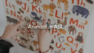 Animals in ASL