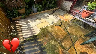 Her Husband Used To Take Care of This... Reluctant Homeowner Needed Help Cleaning Up Ancient Patio