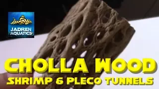 Cholla Wood Shrimp and Plecostomus Tunnels Aquascape Unboxing