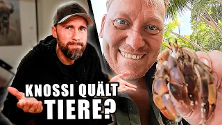 KNOSSI QUÄLT TIERE? Bitte nicht... - BIOLOGE reagiert auf 7 VS WILD Folge 15 | Robert Marc Lehmann