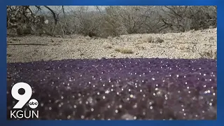 Mysterious, purple sphere's found in the desert