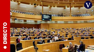 DIRECTO: El Senado vota la creación de una comisión de investigación por el caso Koldo